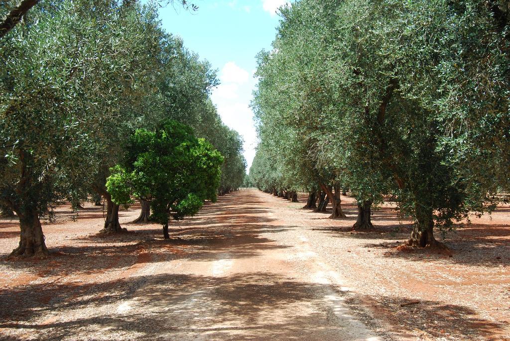 Вилла Terra Di Leuca Сальве Экстерьер фото